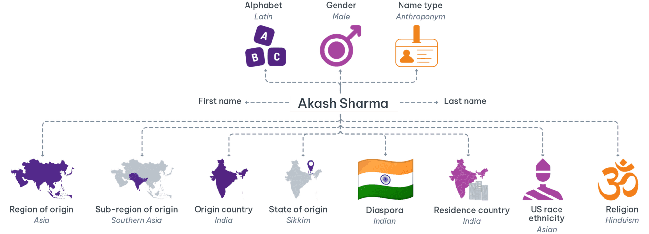 All the information that Namsor can estimate from a name.