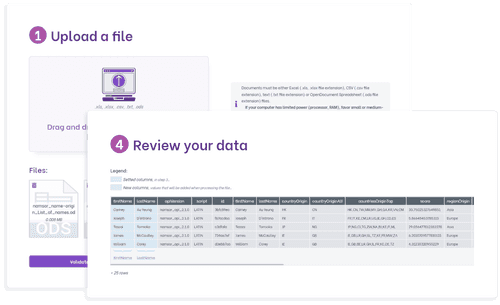 Example of a file being processed with Namsor's spreadsheet tool.
